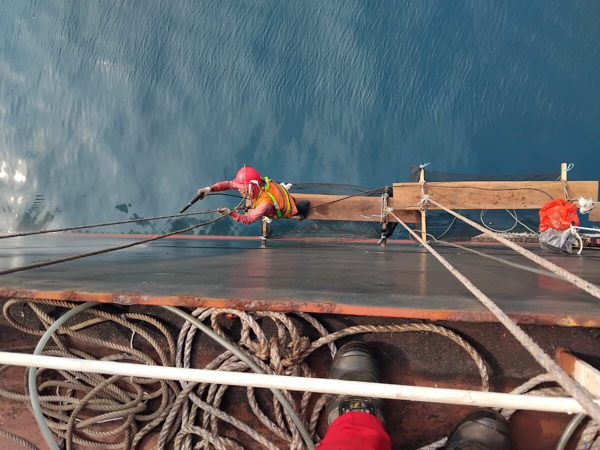 Docking & Supervision