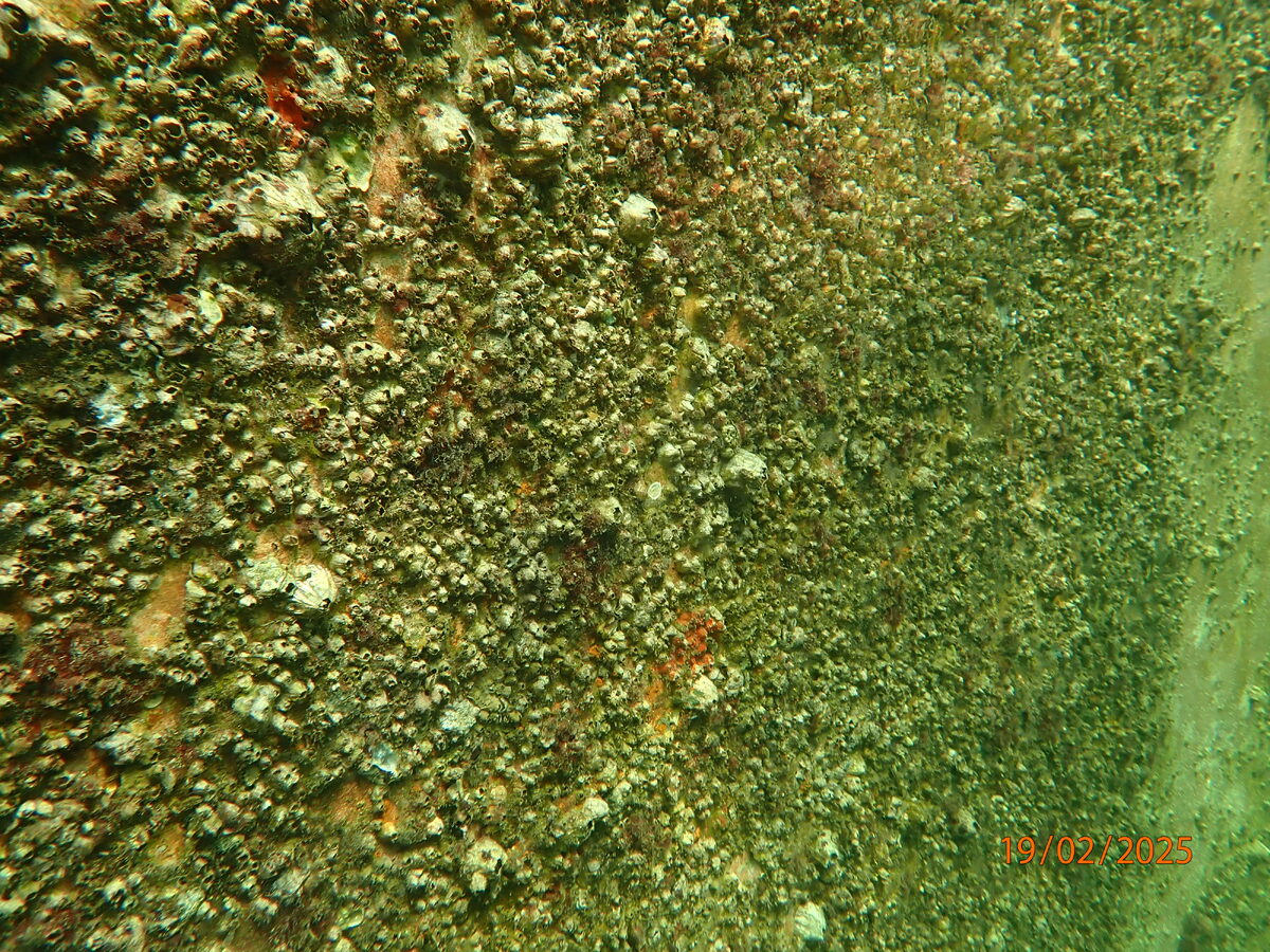 Underwater Service