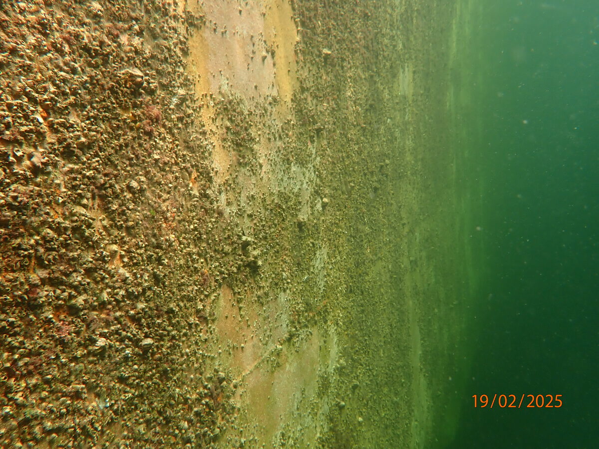Underwater Service