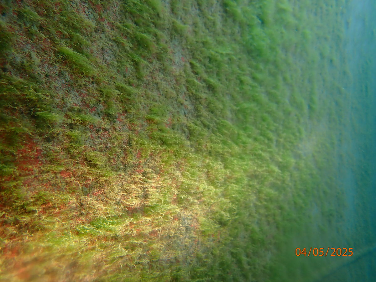 Underwater Service
