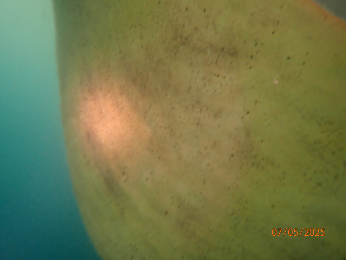 Underwater Service