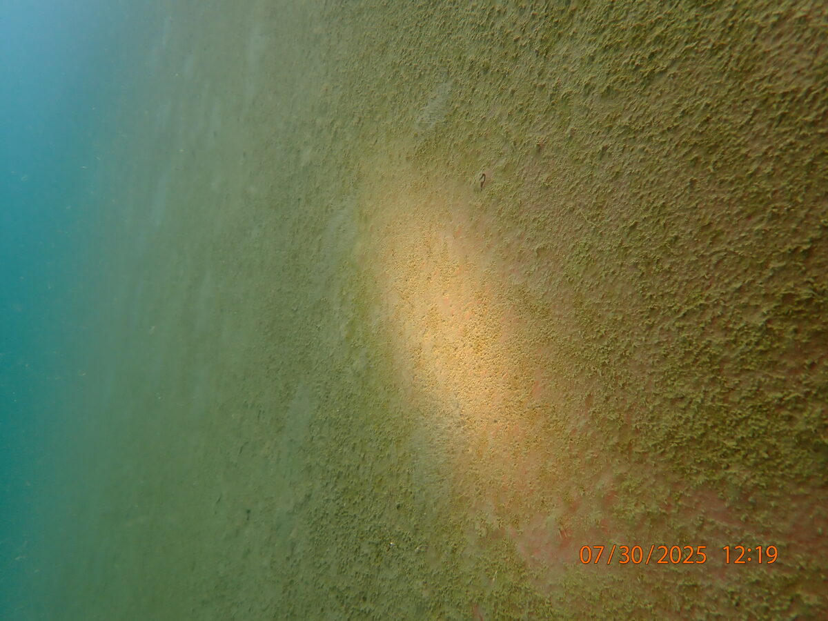 Underwater Service