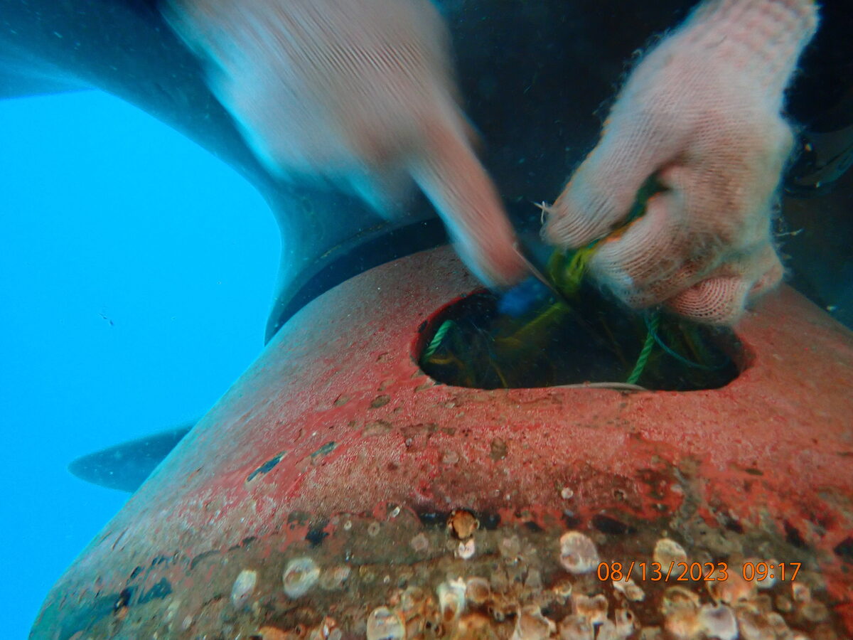 Underwater Service